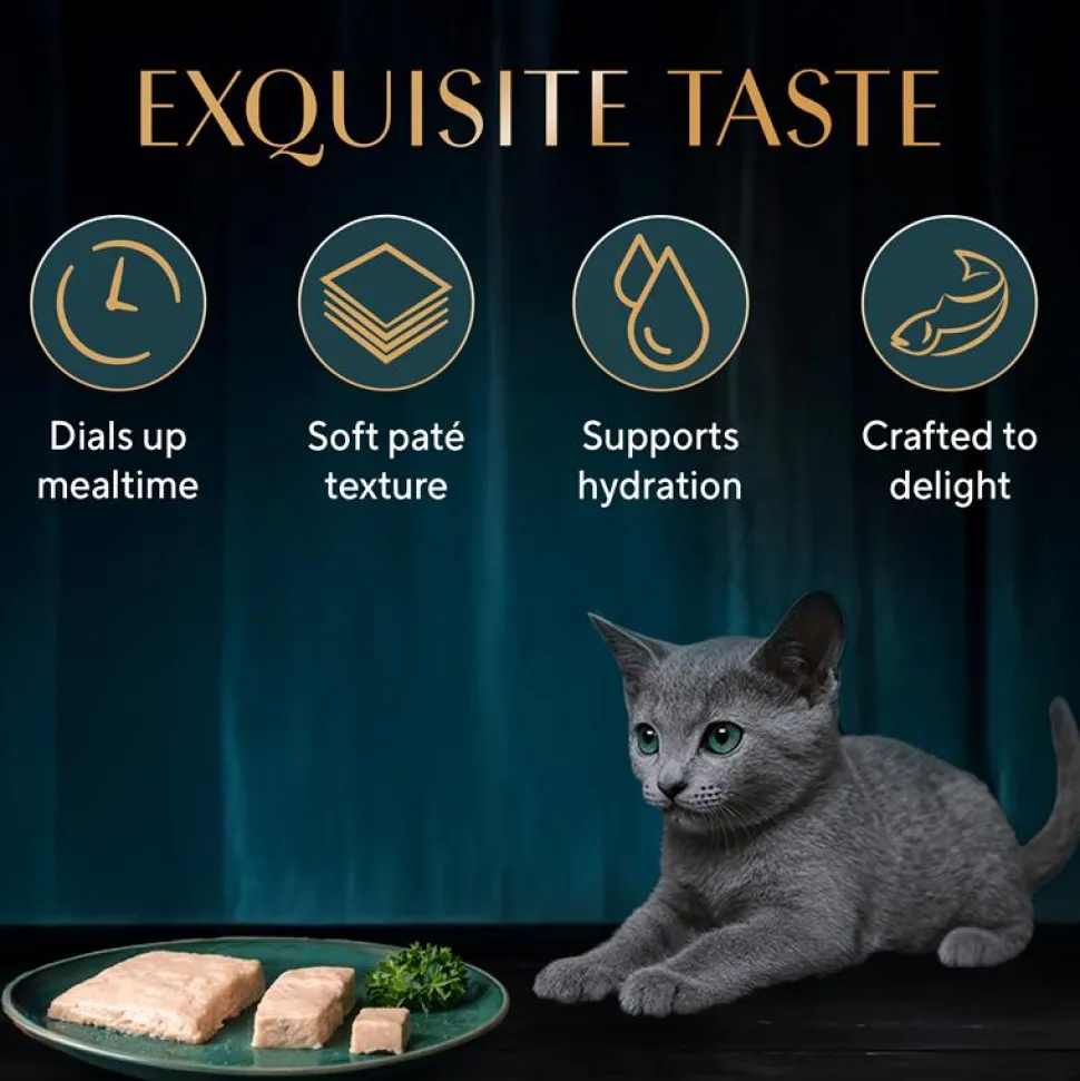 Sheba Maguro Pate Wet Food For Kitten - 70 gm