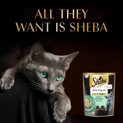 Sheba Maguro Pate Wet Food For Kitten - 70 gm