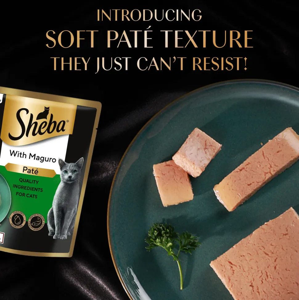 Sheba Maguro Pate Wet Food For Adult Cat - 70 gm