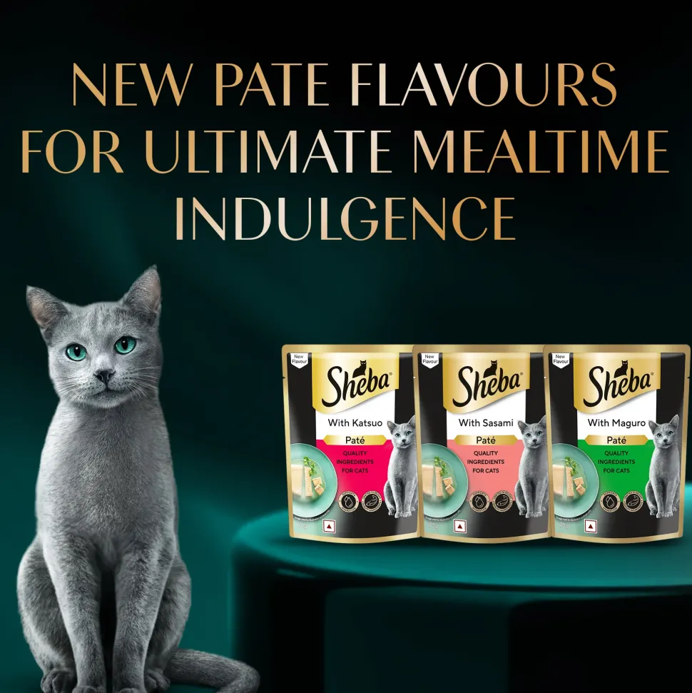 Sheba Maguro Pate Wet Food For Adult Cat - 70 gm
