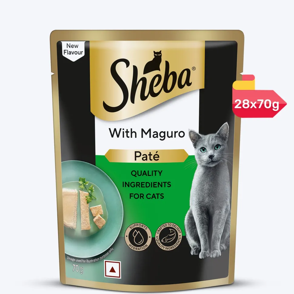 Sheba Maguro Pate Wet Food For Adult Cat - 70 gm