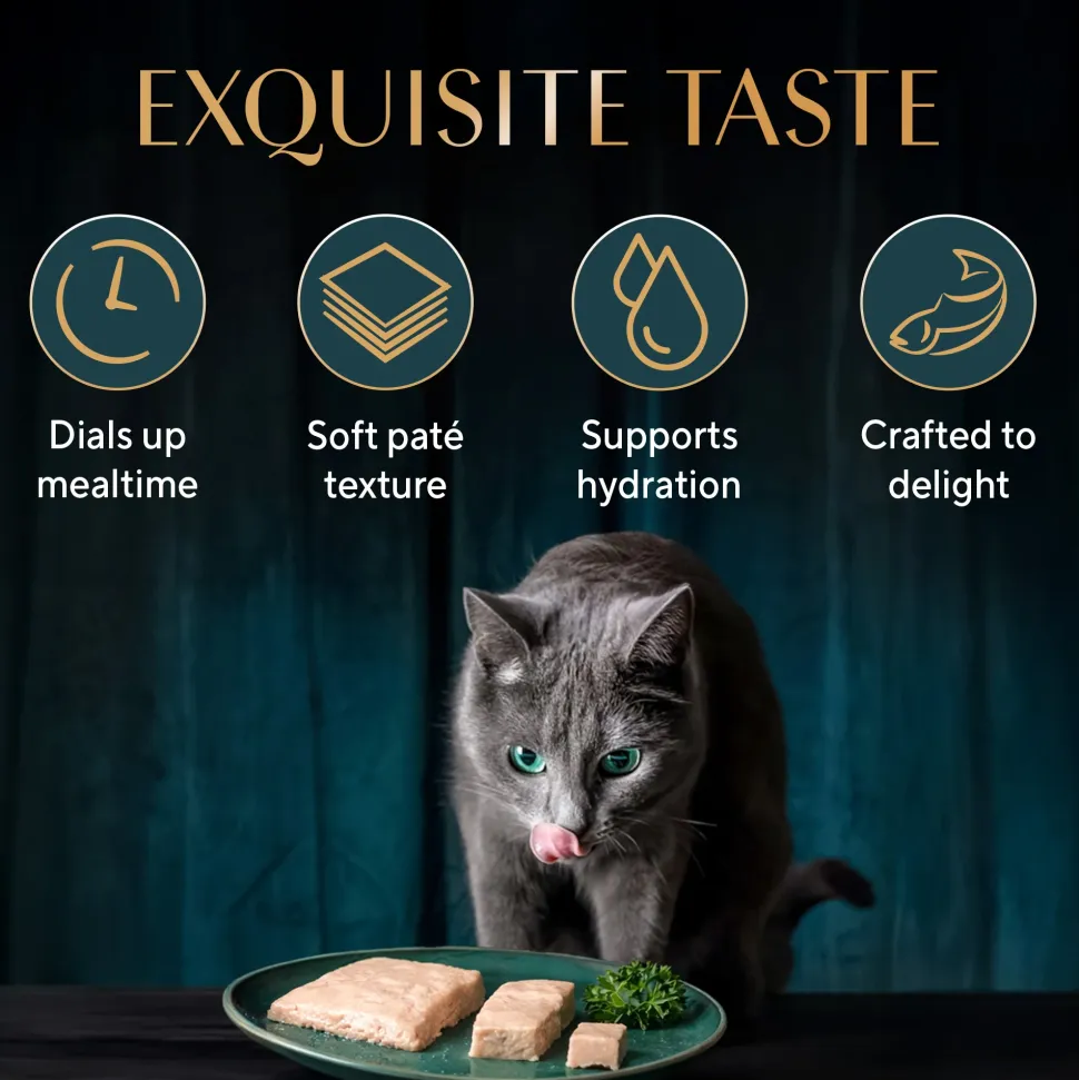 Sheba Maguro Pate Wet Food For Adult Cat - 70 gm
