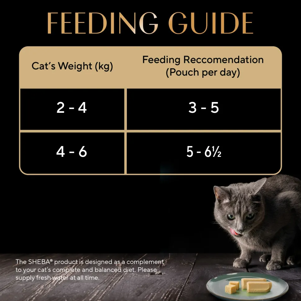 Sheba Maguro Pate Wet Food For Adult Cat - 70 gm