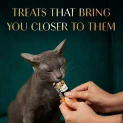 Sheba Melty Maguro Selection Tuna & Tuna & Prawn Flavors Cat Treats - 240 gm (20 x 12gm)