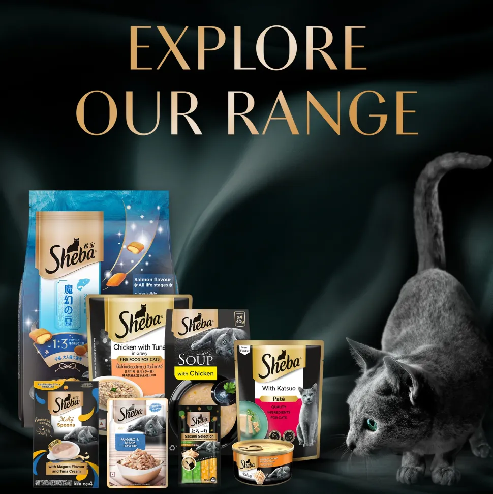 Sheba Melty Spoons Creamy Chicken & Chicken Shreds Treat For Cat - 40 gm Packs