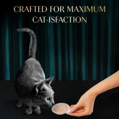 Sheba Melty Spoons Creamy Chicken & Chicken Shreds Treat For Cat - 40 gm Packs