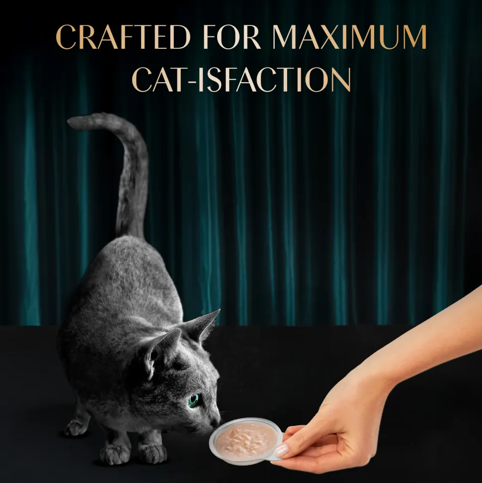 Sheba Melty Spoons Creamy Chicken & Chicken Shreds Treat For Cat - 40 gm Packs