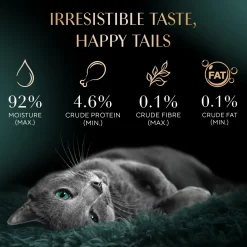 Sheba Melty Spoons Maguro Flavour With Tuna Cream Treat For Cat - 40 gm Packs