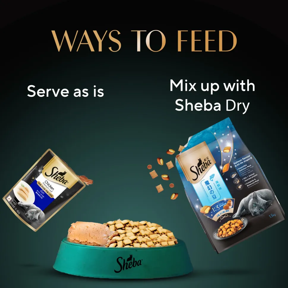 Sheba Rich Chicken Premium Loaf Adult Wet Cat Food - 70 gm Packs