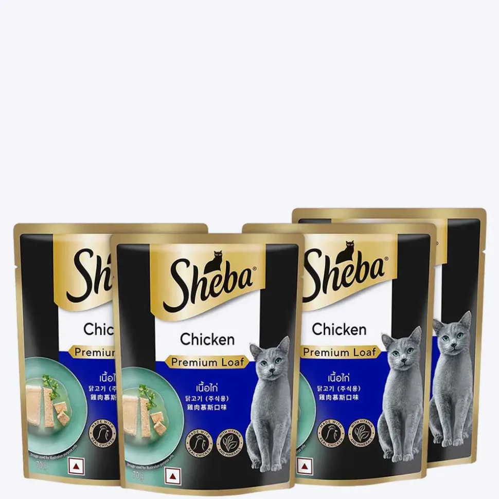 Sheba Rich Chicken Premium Loaf Adult Wet Cat Food - 70 gm Packs