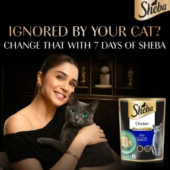 Sheba Rich Chicken Premium Loaf Adult Wet Cat Food - 70 gm Packs