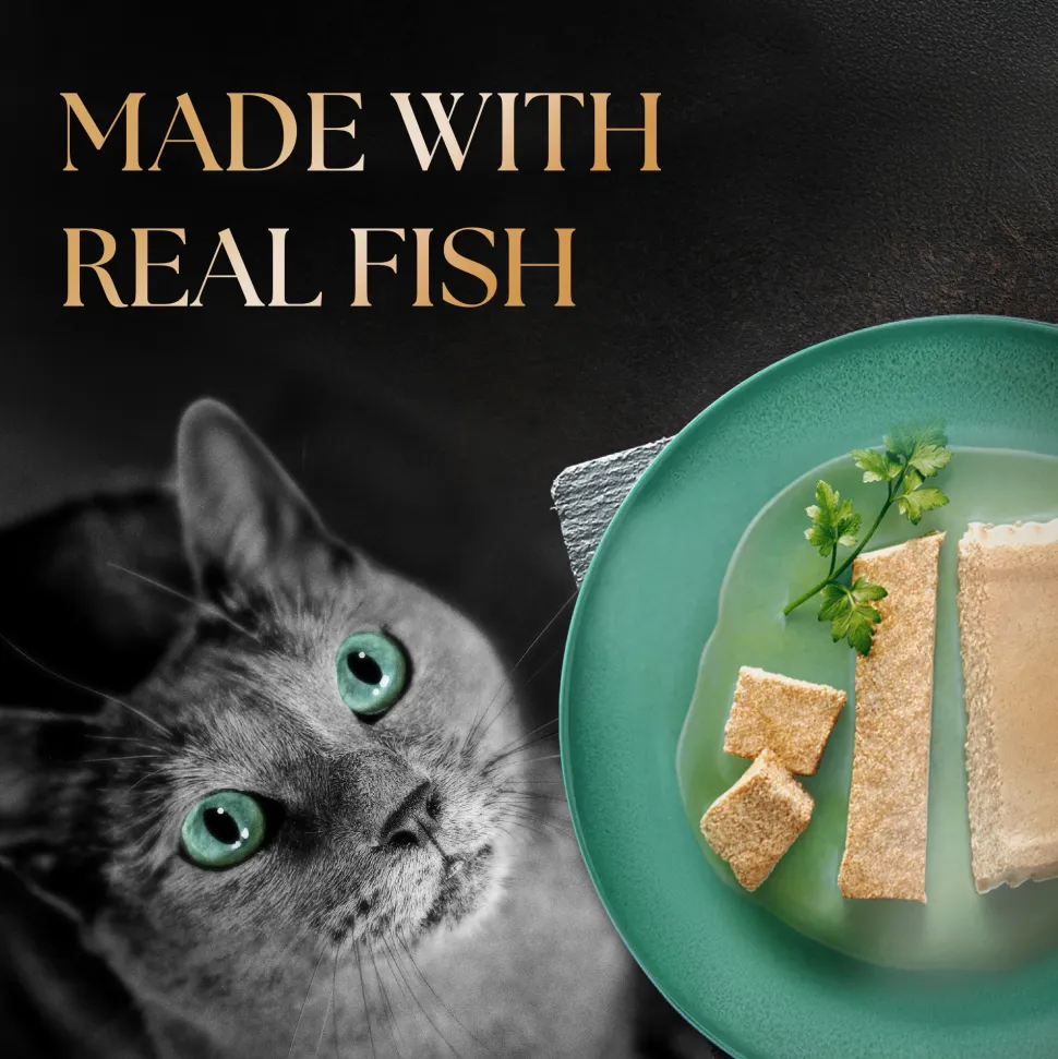 Sheba Rich Chicken Premium Loaf Adult Wet Cat Food - 70 gm Packs