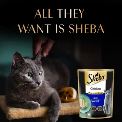 Sheba Rich Chicken Premium Loaf Adult Wet Cat Food - 70 gm Packs