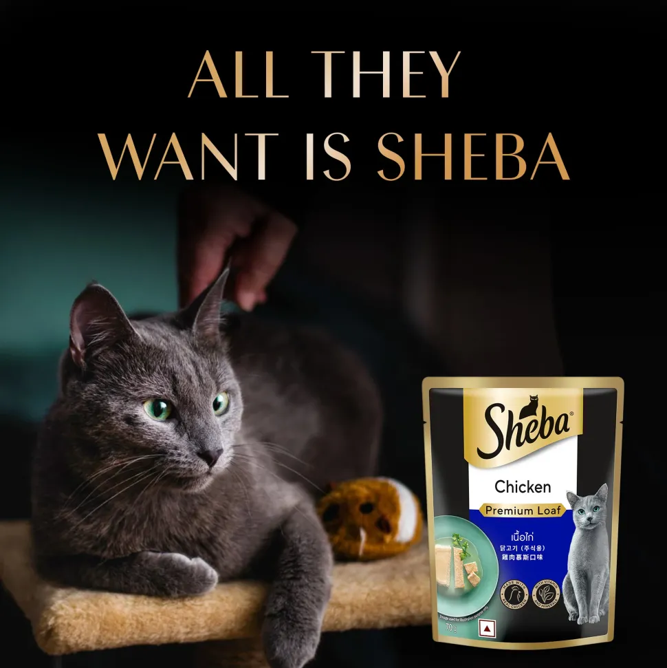 Sheba Rich Chicken Premium Loaf Adult Wet Cat Food - 70 gm Packs
