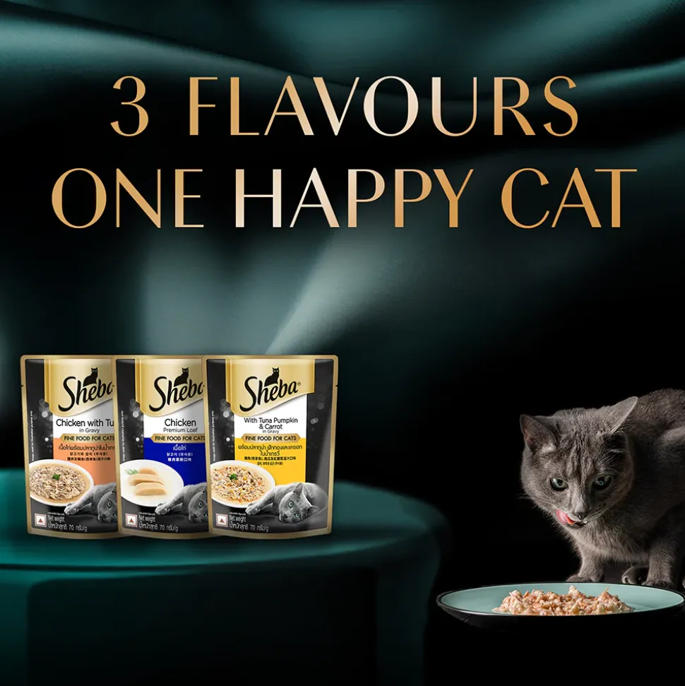 Sheba Rich Premium (1+ Years) Tuna Pumpkin & Carrot In Gravy Adult Wet Cat Food - (28 x 70gm)