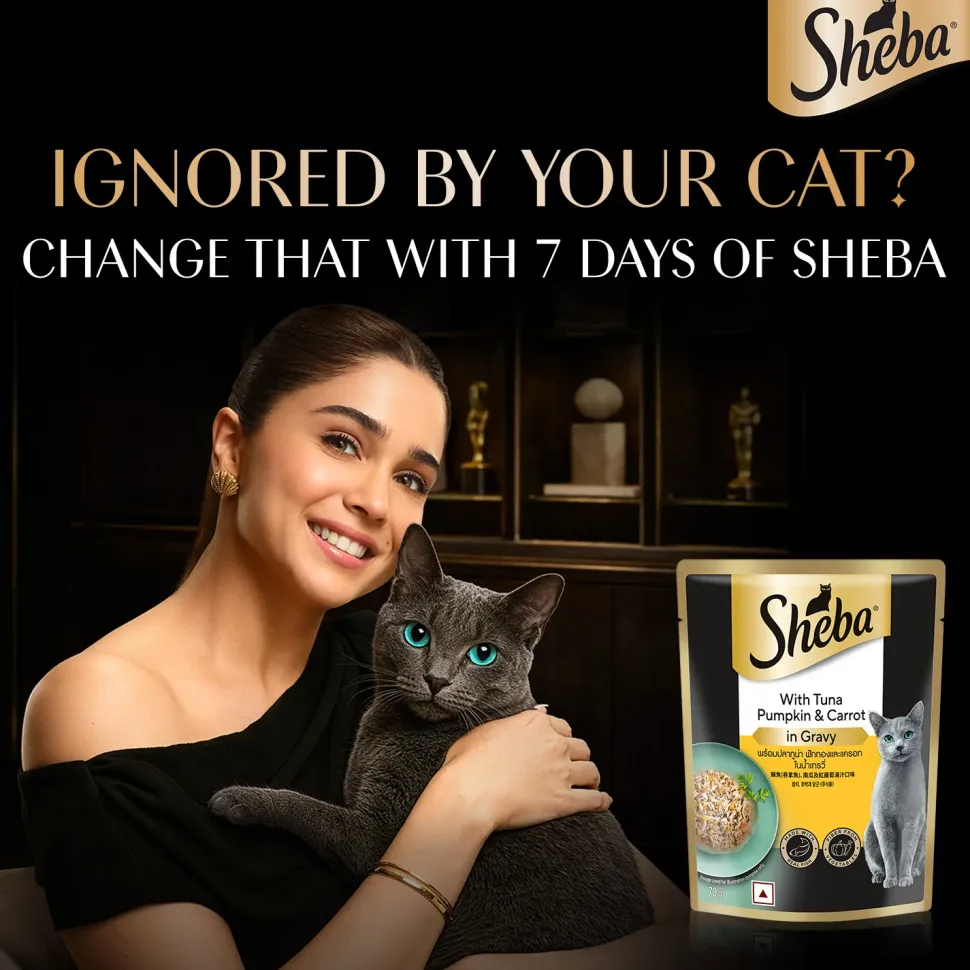 Sheba Rich Premium (1+ Years) Tuna Pumpkin & Carrot In Gravy Adult Wet Cat Food - 70 gm Packs