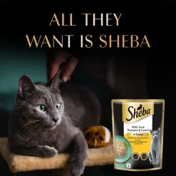 Sheba Rich Premium (1+ Years) Tuna Pumpkin & Carrot In Gravy Adult Wet Cat Food - 70 gm Packs