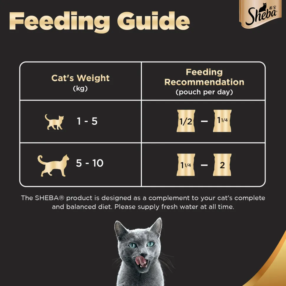 Sheba Rich Premium Adult (1+ Years) Fish with Sasami Flavour Wet Cat Food - (12 x 35gm)