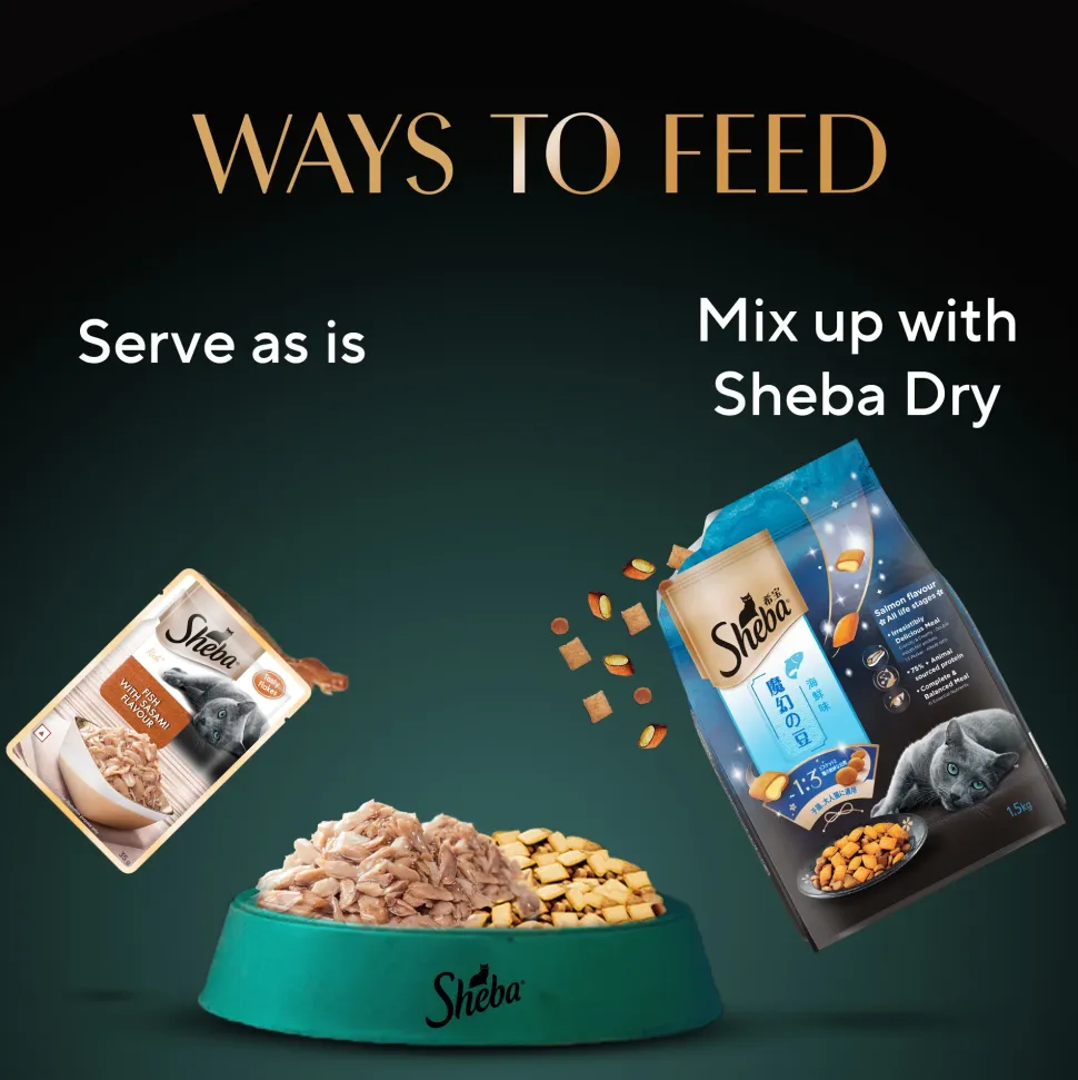 Sheba Rich Premium Adult (1+ Years) Fish with Sasami Flavour Wet Cat Food - 35 gm Packs