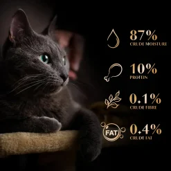 Sheba Rich Premium Adult (1+ Years) Fish with Sasami Flavour Wet Cat Food - 35 gm Packs