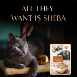 Sheba Rich Premium Adult (1+ Years) Fish with Sasami Flavour Wet Cat Food - 35 gm Packs