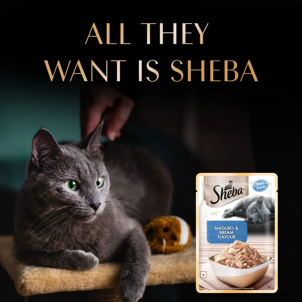 Sheba Rich Premium Adult (1+ Years) Maguro & Bream Flavour Wet Cat Food - 35 g - Packs