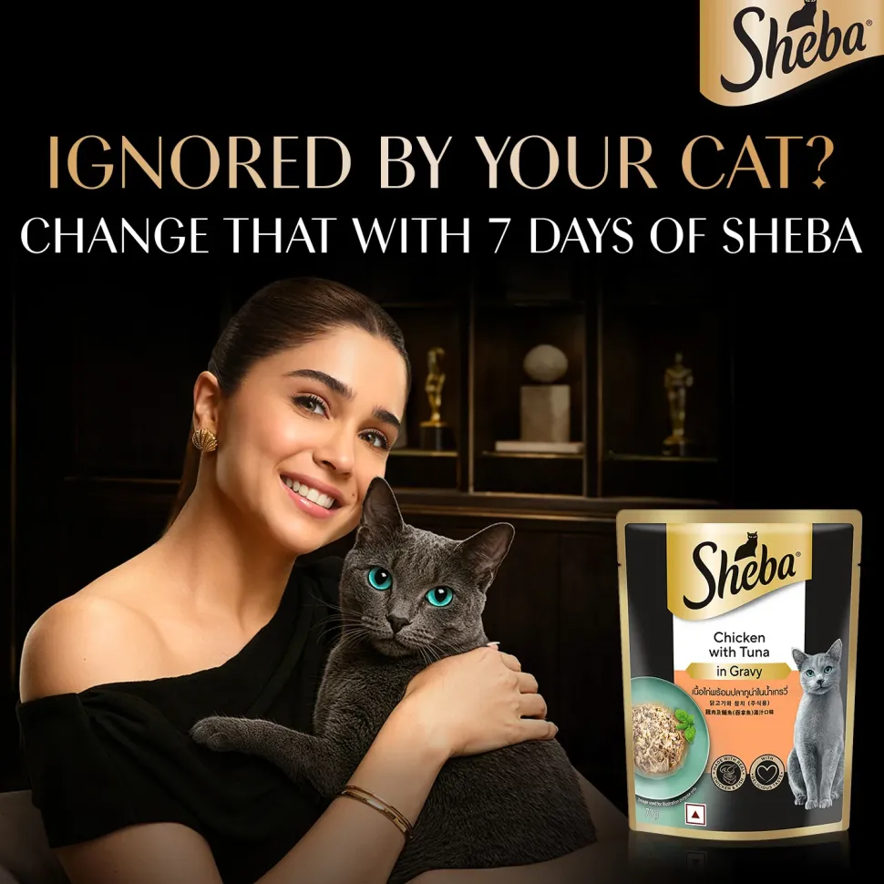 Sheba Rich Premium Chicken With Tuna In Gravy Adult Wet Cat Food - 70 gm Packs