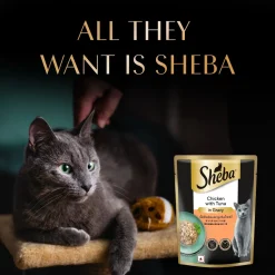 Sheba Rich Premium Chicken With Tuna In Gravy Adult Wet Cat Food - 70 gm Packs