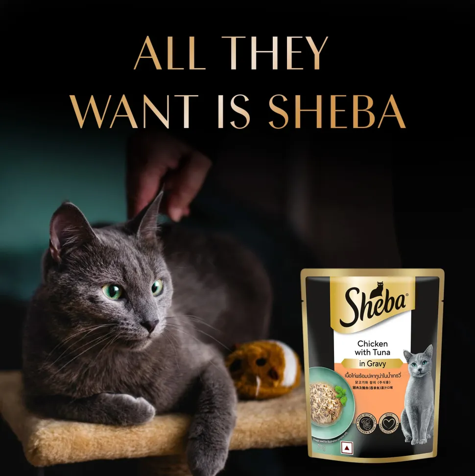 Sheba Rich Premium Chicken With Tuna In Gravy Adult Wet Cat Food - 70 gm Packs