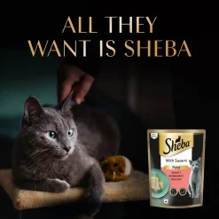 Sheba Sasami Pate Wet Food For Adult Cat - 70 gm
