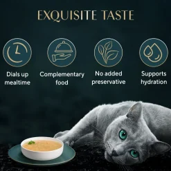 Sheba Soup With Chicken Wet Food For Cat - 40 gm x 4 pcs