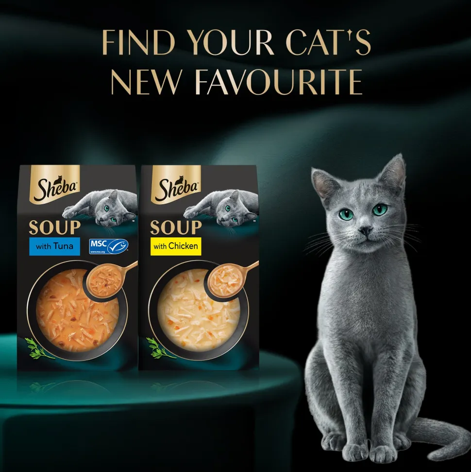 Sheba Soup With Chicken Wet Food For Cat - 40 gm x 4 pcs