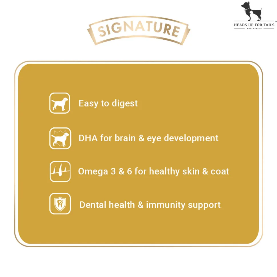 Signature Grain Zero Starter Food For Mother & Puppy - All Breed Formula