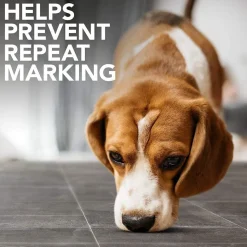 Simple Solution Stain & Odour Remover for Dogs - 1 L
