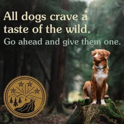 Taste of the Wild Pacific Stream Canine Formula Grain Free Adult Dry Dog Food - Smoked Salmon