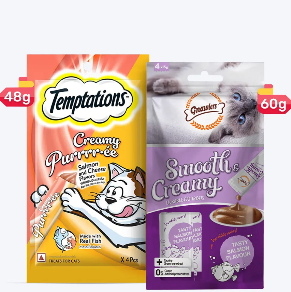 Temptations & Gnawlers Salmon Surprise Treat Combo For Cat