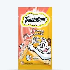 Temptations & Gnawlers Salmon Surprise Treat Combo For Cat