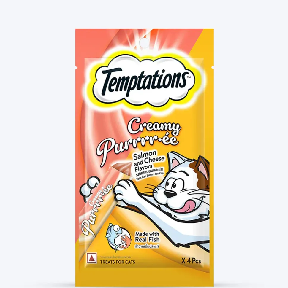 Temptations & Gnawlers Salmon Surprise Treat Combo For Cat