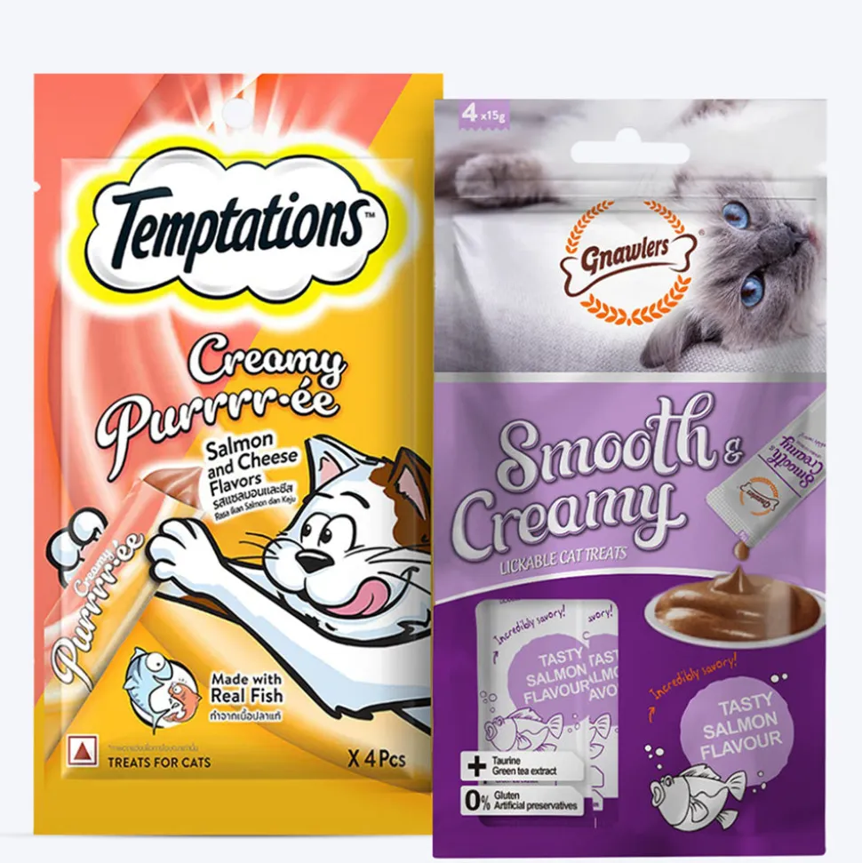 Temptations & Gnawlers Salmon Surprise Treat Combo For Cat