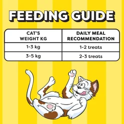 Temptations Creamy Purrrr-ee Lickable Cat Treat, Salmon & Cheese Flavour - 48g (4 pieces)