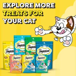 Temptations Creamy Purrrr-ee Salmon & Cheese Flavors Cat Treats - 240 gm (20 x 12gm)