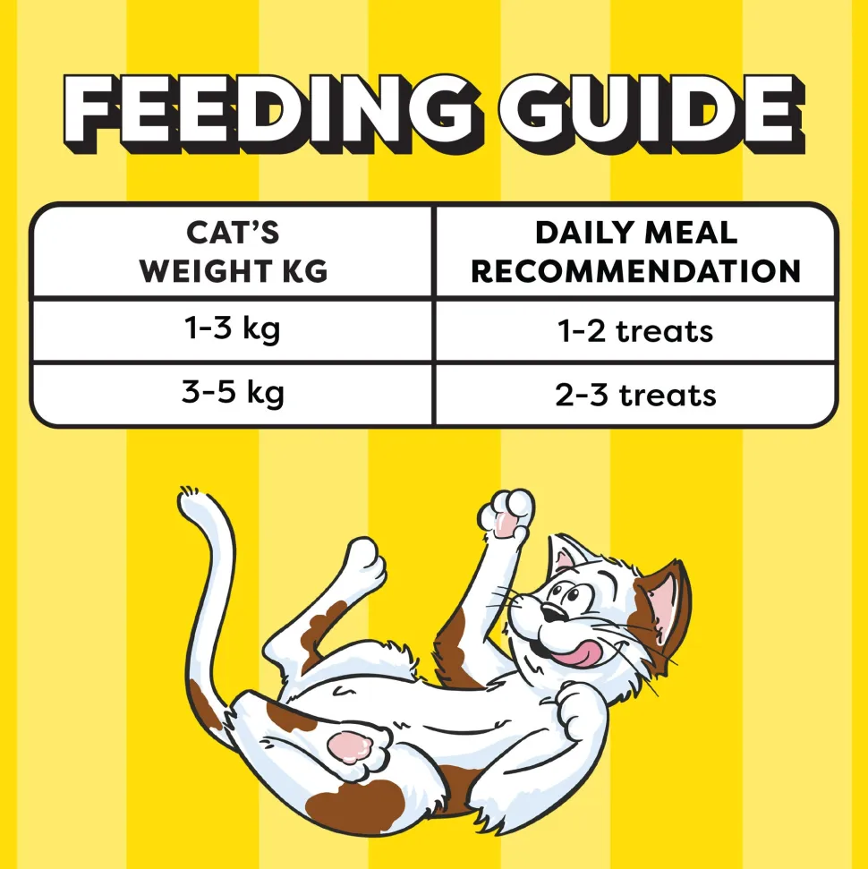 Temptations Creamy Purrrr-ee Salmon & Cheese Flavors Cat Treats - 240 gm (20 x 12gm)