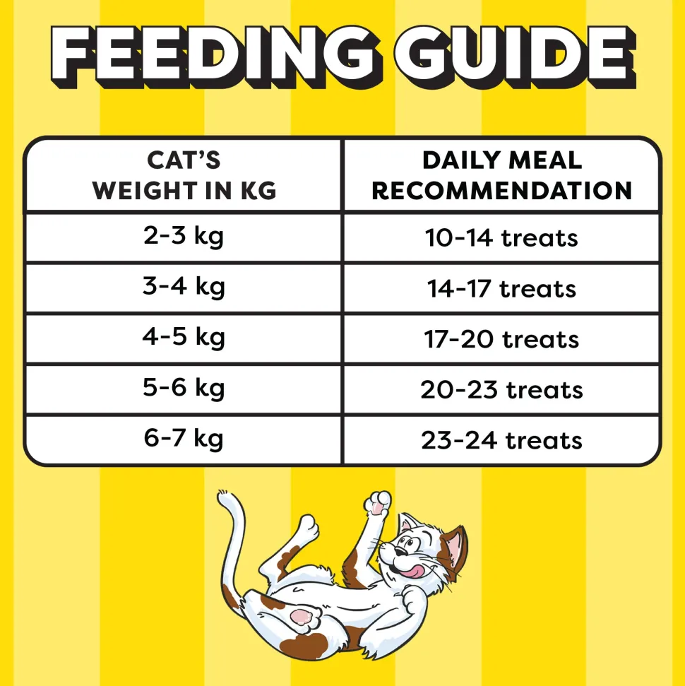 Temptations Crunchy Cat Treats, Savoury Salmon Flavour - 85g