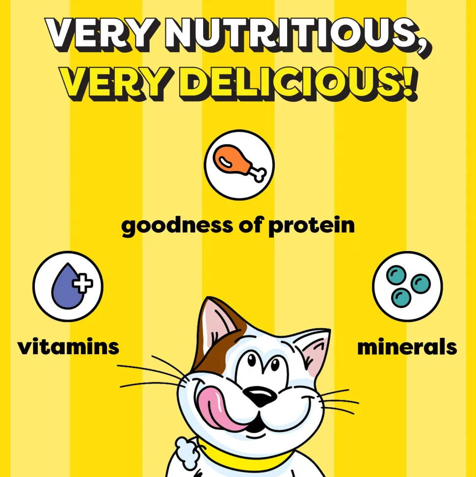 Temptations Crunchy Cat Treats, Savoury Salmon Flavour - 85g