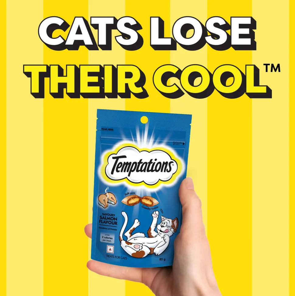 Temptations Crunchy Cat Treats, Savoury Salmon Flavour - 85g