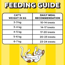 Temptations Crunchy Cat Treat Tasty Chicken Flavour - 85 g