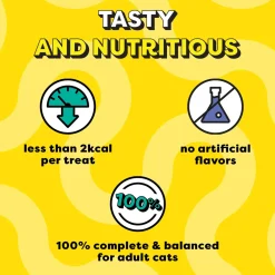 Temptations Crunchy Cat Treat Tasty Chicken Flavour - 85 g