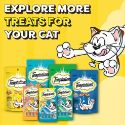 Temptations Crunchy Cat Treat Tasty Chicken Flavour - 85 g