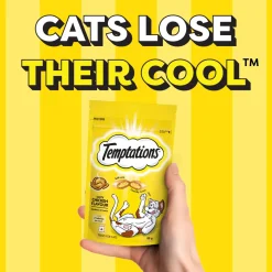 Temptations Crunchy Cat Treat Tasty Chicken Flavour - 85 g