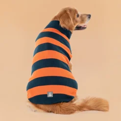 TLC Pumpkin Patch Sweater For Dog - Orange & Navy Blue